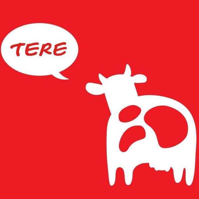 tere eu logo